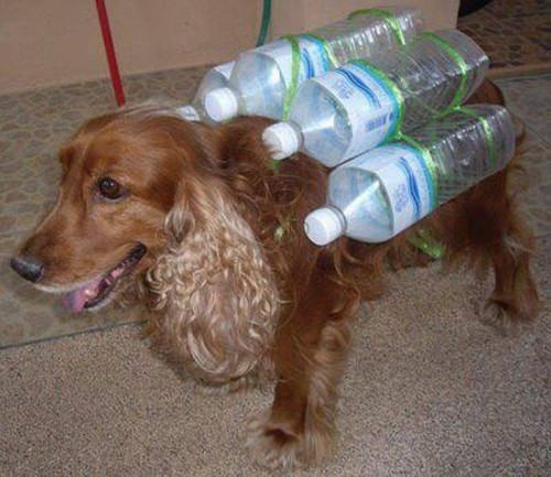 Наводнение с юмором