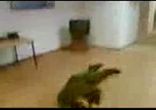 спать!