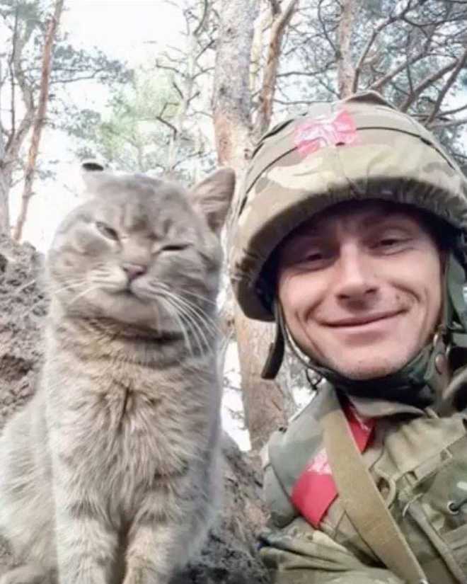 Українські воєнні з тваринами