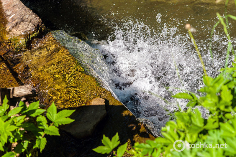 Яремче: смарагдовий колір літа у Прикарпатті