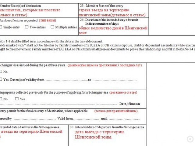 Заявление на получение шенгенской визы германия word