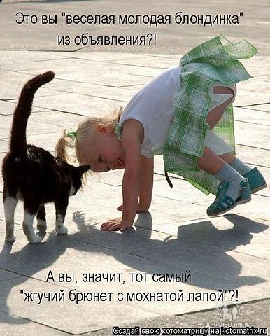 Служба знакомств