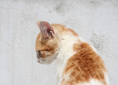 Пойми меняу