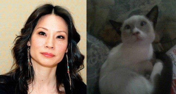 Люси Лью и её котэ