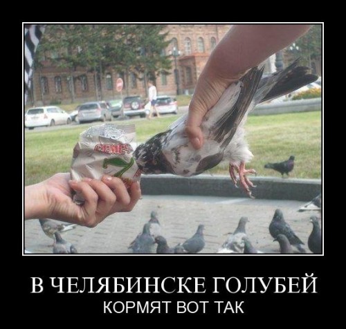 Подборка демотиваторов