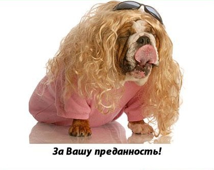 С праздником, блондинки!