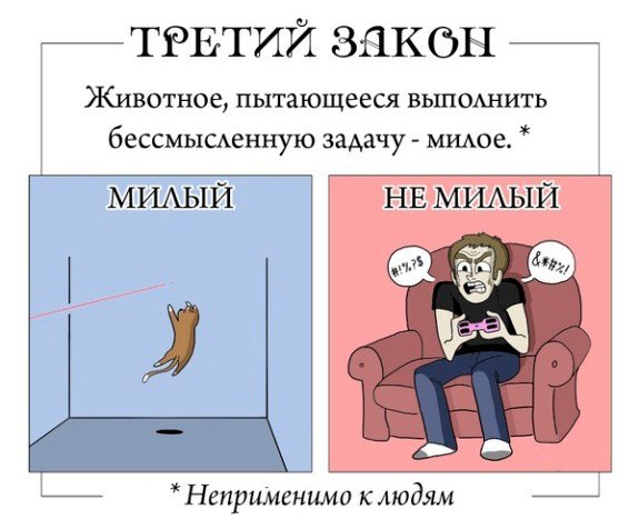 6 законов мимимишности