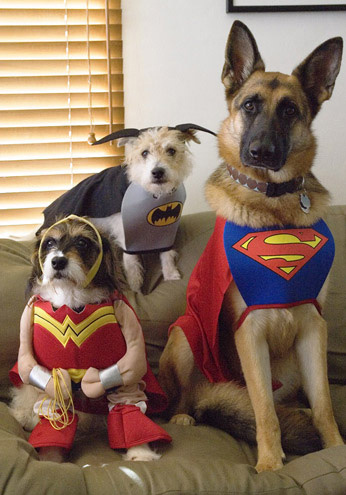 Топ животных - супергероев