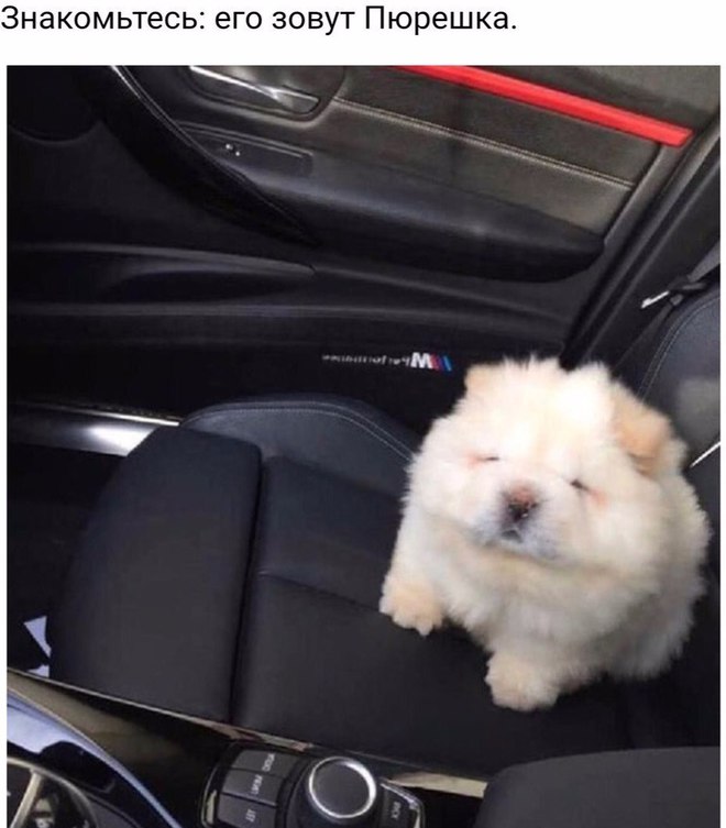 Сегодня у вас игры с пюрешкой