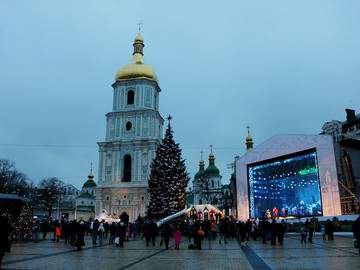 Новости города: 26-метровая ёлка к Новому году 2017 едет в Киев