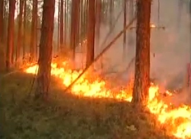 Пожежі в Росії