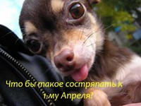 Смешная картинка на 1 апреля
