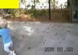 Что... какие ворота