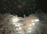 2010 год