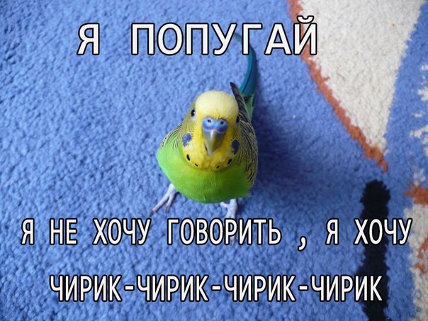 Я не хочу... (смешная подборка картинок)