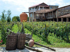 в ботаническом саду появятся 12 регионов Грузии