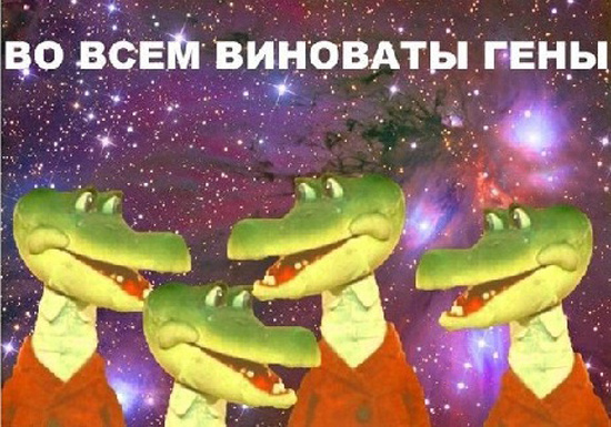 В буквальном смысле слова