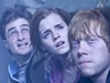 Гаррі Поттер і Дари смерті. Частина 2
