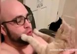 Животные, которые ненавидят поцелуи