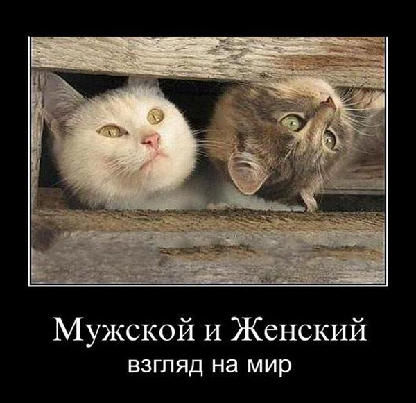 Приколы картинки про мужчин с надписями