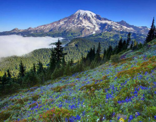 Топ потрясающих пейзажей