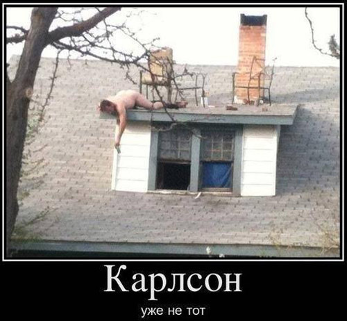 ТОП лучших демотиваторов
