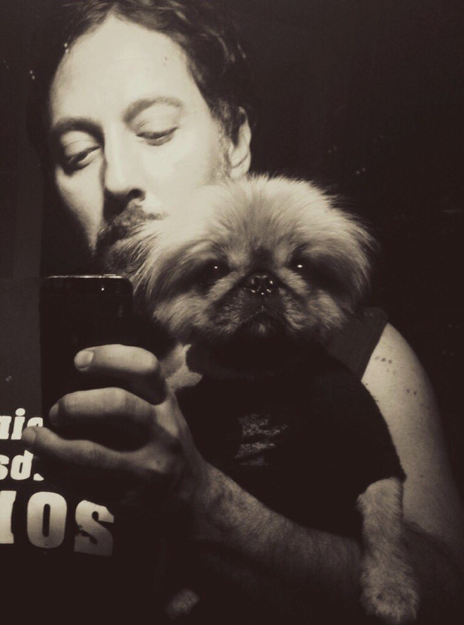 звездные питомцы