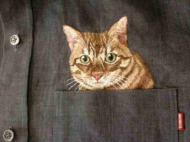 Мимимишный дресс-кот