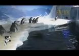 Подборка животных охотящихся за лазером