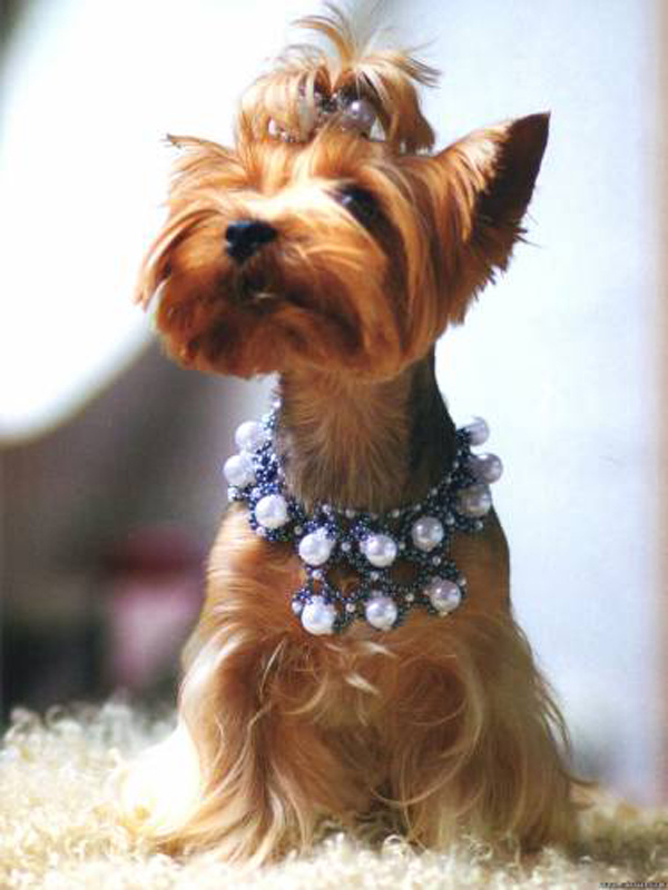 Малыши с бантиками