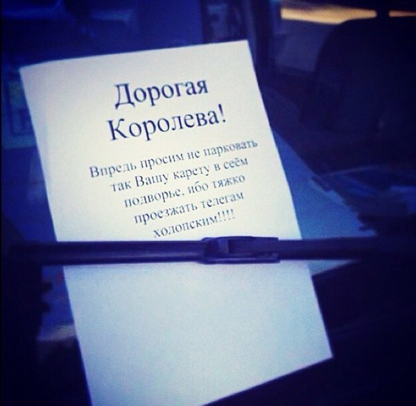 Маразмы месяца