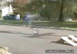 Сумасшедшие дети