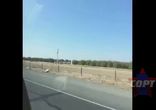 ДЕНЬ 31 ЛУЧШИЕ ПРИКОЛЫ