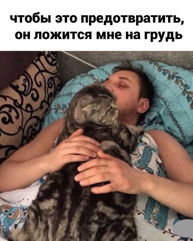 Котик и будильник