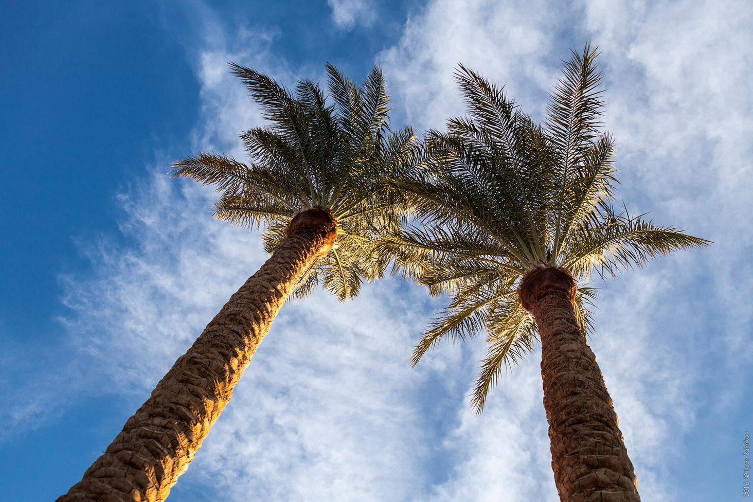 Єгипет, готель Jaz Makadina