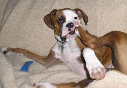 Подборка смешных фотоприколов