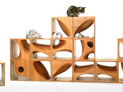 Кубы для игривых котов