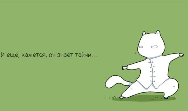 Когда моему коту грустно