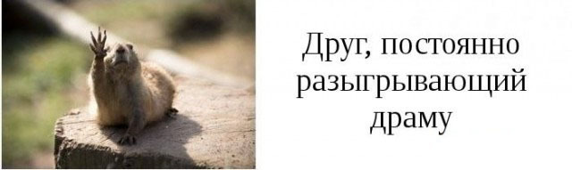 Категории друзей
