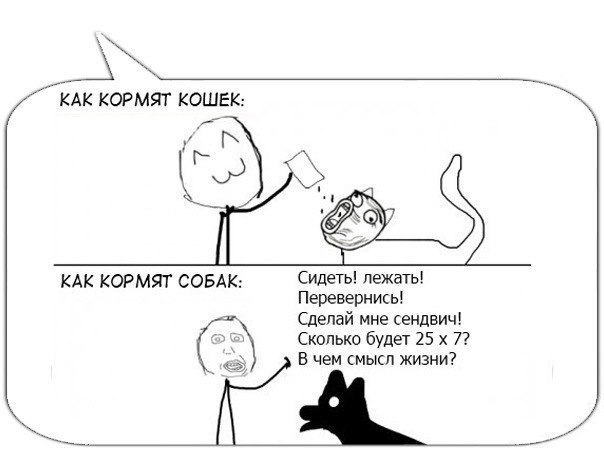 Комиксы фууу про котов