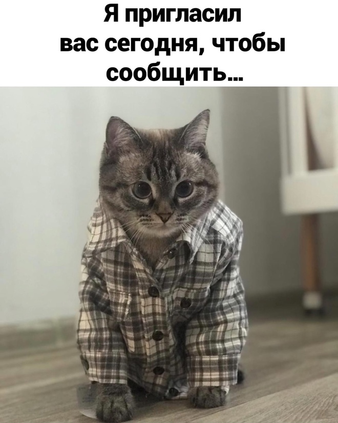 Школа и плохое поведение
