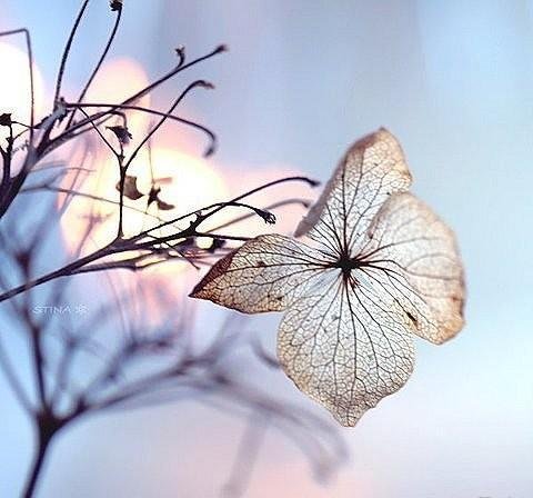 В память о лете