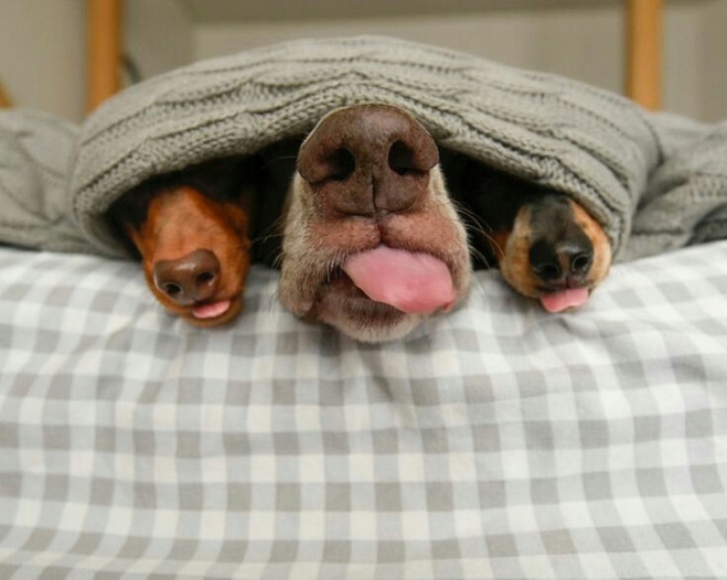 Мимимишный пост