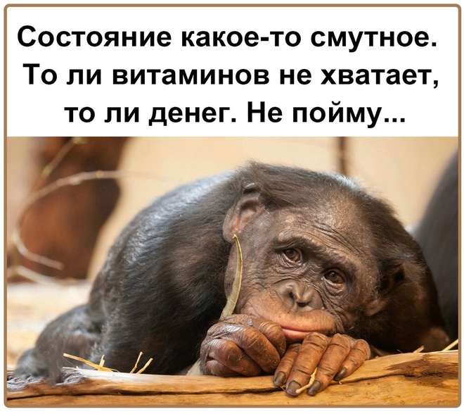 Деньги или витамины