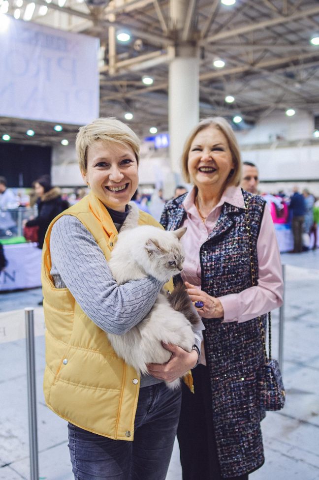 Міжнародна виставка котів Pro Plan® Гран Прі 2018