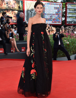 Венеційський кінофестиваль