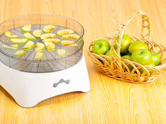 електросушка