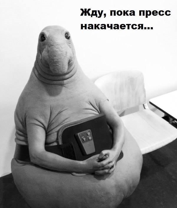 Ждун, пока похудею