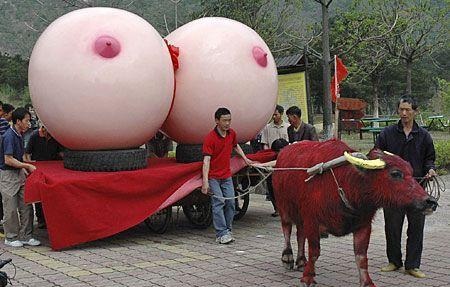 Фото - приколы