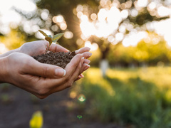 Какой праздник отмечают 15 апреля